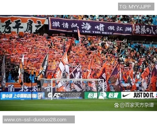 青岛队与上港队比赛裁判表现引发热议球迷反响不一